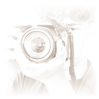 My Blog